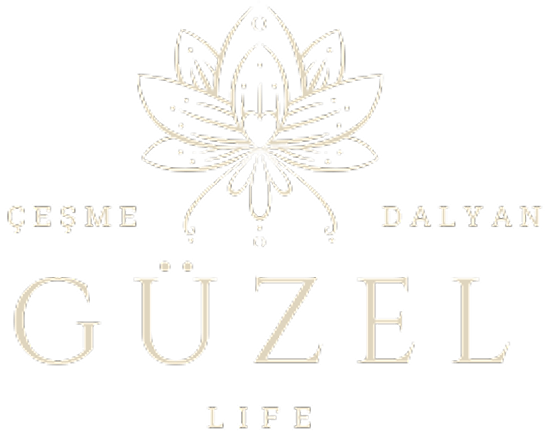 logo main